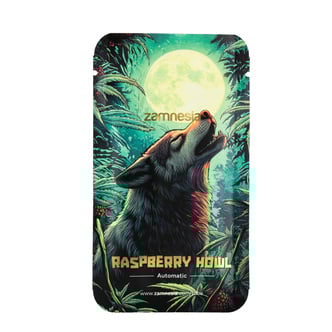 Raspberry Howl Automatic (Zamnesia Seeds) femminizzata