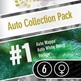 Auto Collection Pack 1 (Paradise Seeds) Femminizzata