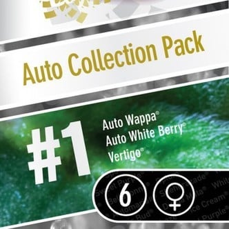 Auto Collection Pack 1 (Paradise Seeds) Femminizzata