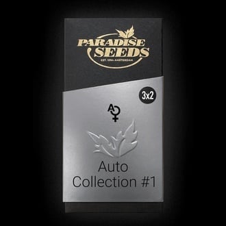 Auto Collection Pack 1 (Paradise Seeds) Femminizzata