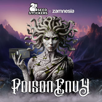 Poison Envy (Seedstockers x Zamnesia Seeds) femminizzata