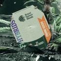 Seme Autofiorente Ibrido F1 Gratuito (Royal Queen Seeds)