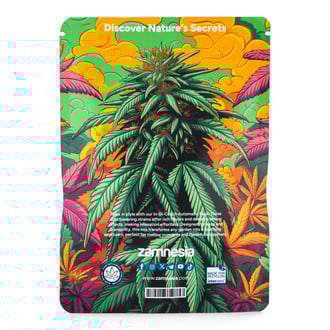 In-Di-Couch Auto Pack - Varietà Auto