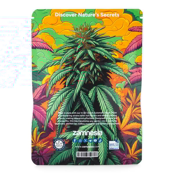 In-Di-Couch Auto Pack - Varietà Auto