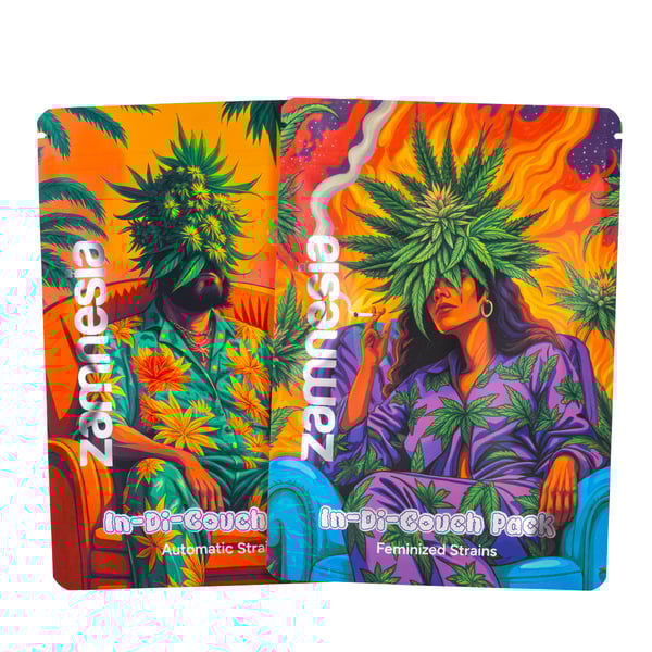 In-Di-Couch Auto Pack - Varietà Auto