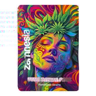 Viva Sativa Pack - Varietà femminizzate