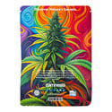 Viva Sativa Pack - Varietà femminizzate