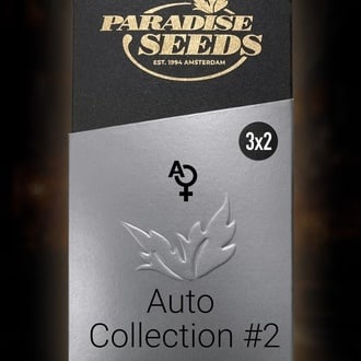 Auto Collection Pack 2 (Paradise Seeds) femminizzate