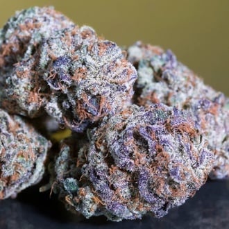 Blue Gem (Paradise Seeds) femminizzata