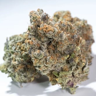 Glowstarz (Paradise Seeds) femminizzata