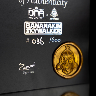 Bananakin Skywalker (Zamnesia Seeds x DNA Genetics) femminizzata