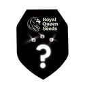 3 semi femminizzati misteriosi (Royal Queen Seeds)