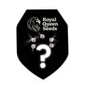 5 semi autofiorenti misteriosi (Royal Queen Seeds)