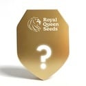 Semi Misteriosi Autofiorenti F1 5 (Royal Queen Seeds)