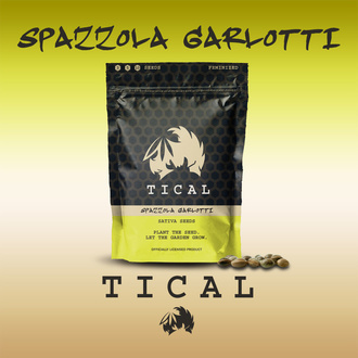 Spazzola Garletti (TICAL) femminizzata