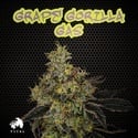 Grape Gorilla Gas (TICAL Genetics) femminizzata