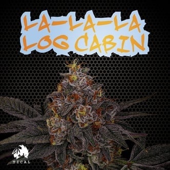 La-La-La Log Cabin (TICAL) femminizzata