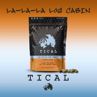 La-La-La Log Cabin (TICAL) femminizzata