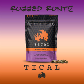 Rugged Runtz (TICAL) femminizzata