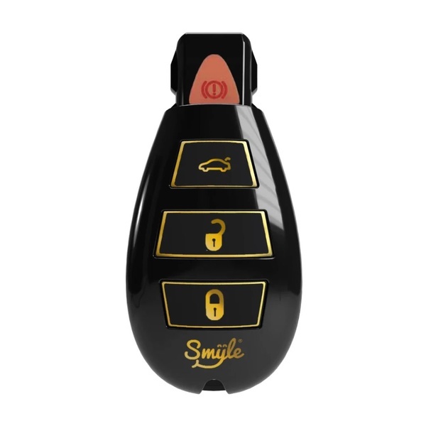 Car Key Penjamin (Smyle Labs)