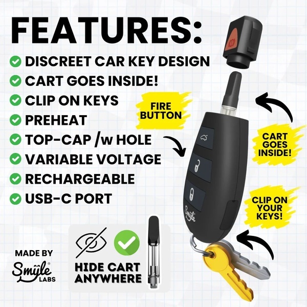Car Key Penjamin (Smyle Labs)