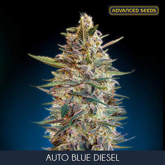 Auto Blue Diesel (Advanced Seeds) femminizzata