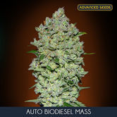 Auto Bio Diesel Mass (Advanced Seeds) femminizzati