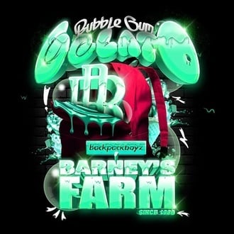 Bubblegum Gelato (Barney's Farm) femminizzata