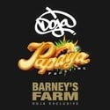Papaya Frosting (Barney's Farm) femminizzata