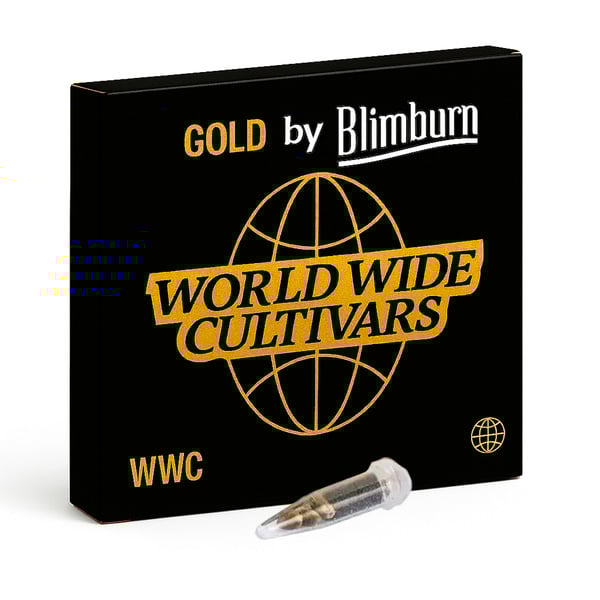 CBD ACDC (Blimburn Seeds) femminizzata