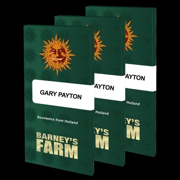 Gary Payton (Barney's Farm) femminizzata