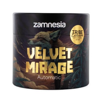 Velvet Mirage Auto (Zamnesia Seeds) - 4 Semi femminizzati + Grinder