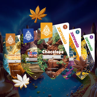 Bundle Sugar Valley Auto (Zamnesia Seeds) femminizzata