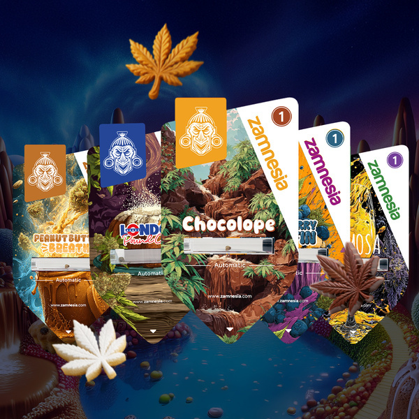 Bundle Sugar Valley Auto (Zamnesia Seeds) femminizzata