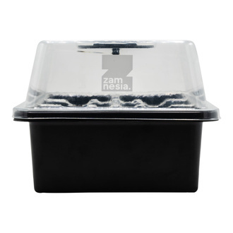 Kit di propagazione dei semi (Zamnesia)