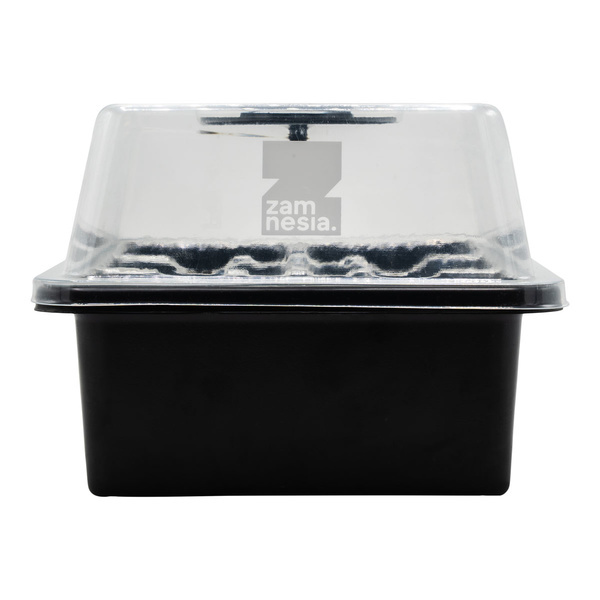 Kit di propagazione dei semi (Zamnesia)