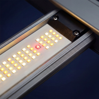 Lampada da coltivazione LED Phytonaut 120 W (Zamnesia)