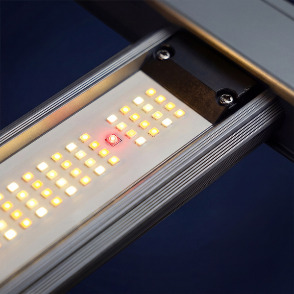 Lampada da coltivazione LED Phytonaut 120 W (Zamnesia)