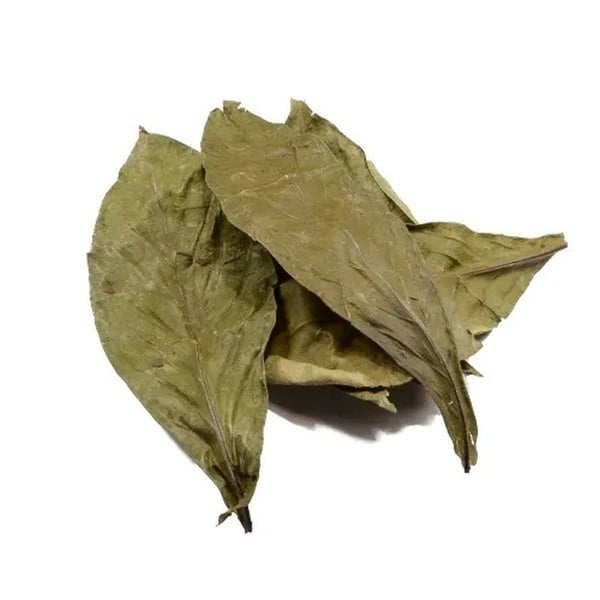 Chacruna (Psychotria viridis) 50 grammi