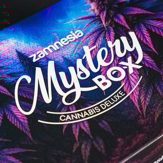 Cannabis Mystery Box - Deluxe (Zamnesia)
