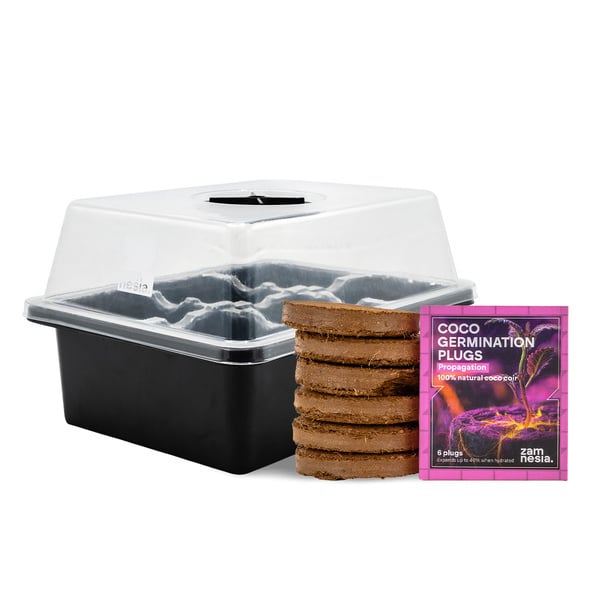 Bundle per l'avvio dai semi