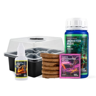 Kit Starter Femminizzati