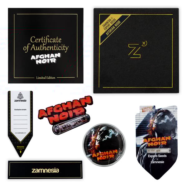 Afghan Noir (Zamnesia Seeds x Expert Seeds) femminizzata