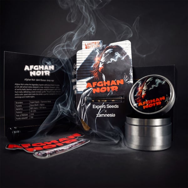 Afghan Noir (Zamnesia Seeds x Expert Seeds) femminizzata