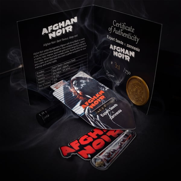 Afghan Noir (Zamnesia Seeds x Expert Seeds) femminizzata