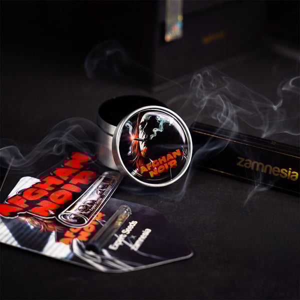 Afghan Noir (Zamnesia Seeds x Expert Seeds) femminizzata