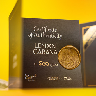Lemon Cabana (Zamnesia Seeds x Garden of Green) femminizzata