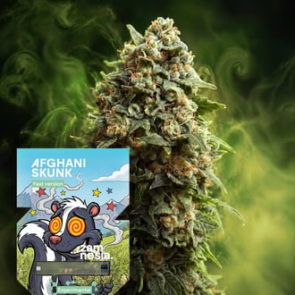 Afghani Skunk Fast Version (Zamnesia Seeds) femminizzata
