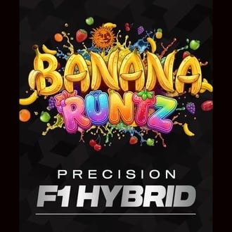 Banana Runtz F1 (Barney's Farm) femminizzata