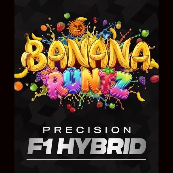 Banana Runtz F1 (Barney's Farm) femminizzata